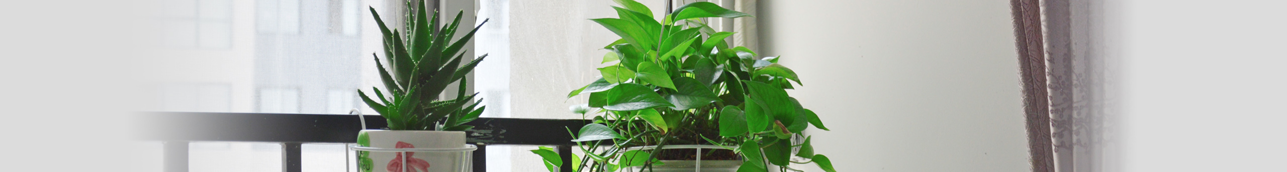 海对沙的呢喃的个人主页（封面预览） - 主页封面设置 - 站酷设计师海对沙的呢喃原创素材 - 站酷ZCOOL