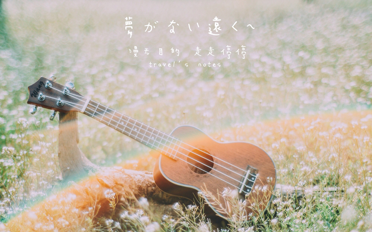 沈猫咪的个人主页（封面预览） - 主页封面设置 - 站酷设计师沈猫咪原创素材 - 站酷ZCOOL
