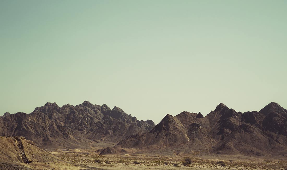 豆芽菜丶的个人主页（封面预览） - 主页封面设置 - 站酷设计师豆芽菜丶原创素材 - 站酷ZCOOL