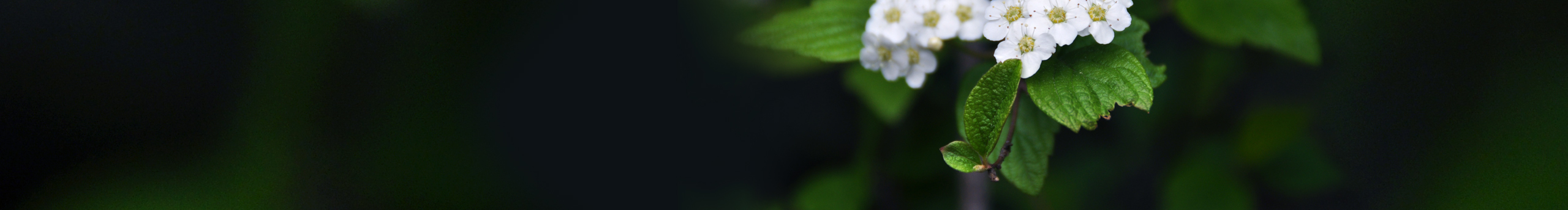 yaya19930811的个人主页（封面预览） - 主页封面设置 - 站酷设计师yaya19930811原创素材 - 站酷ZCOOL