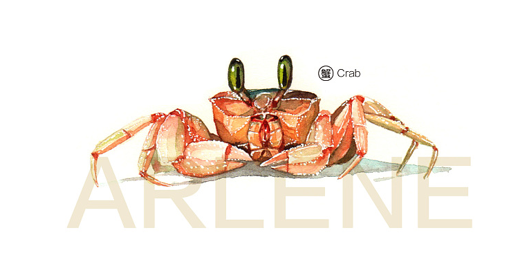 ArleneC的个人主页（封面预览） - 主页封面设置 - 站酷设计师ArleneC原创素材 - 站酷ZCOOL