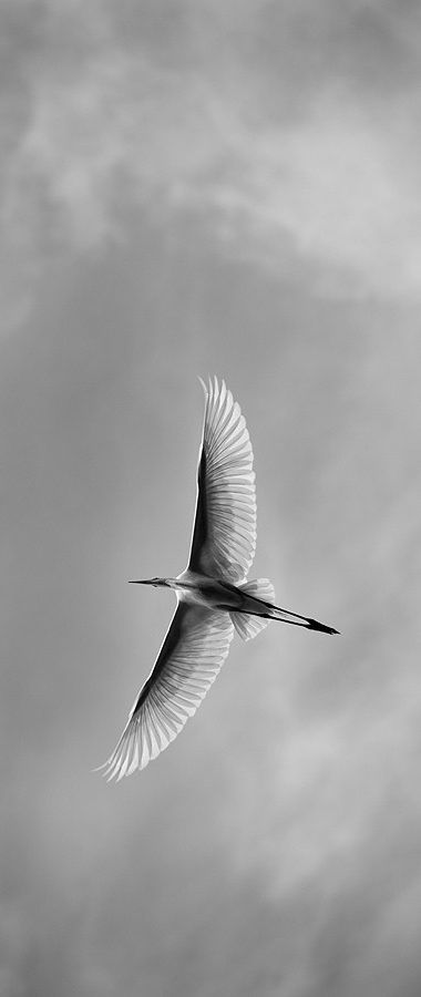 三水suni的個(gè)人主頁（封面預(yù)覽） - 主頁封面設(shè)置 - 站酷設(shè)計(jì)師三水suni原創(chuàng)素材 - 站酷ZCOOL