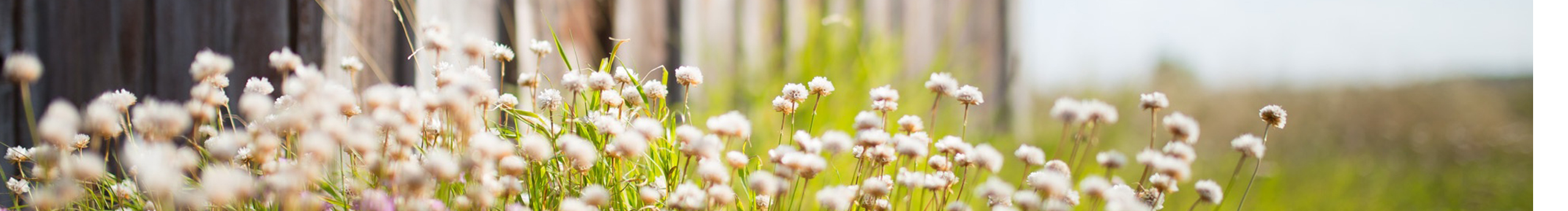 西瓜果果的個人主頁（封面預(yù)覽） - 主頁封面設(shè)置 - 站酷設(shè)計師西瓜果果原創(chuàng)素材 - 站酷ZCOOL