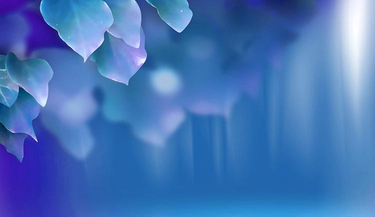 宋萍520的个人主页（封面预览） - 主页封面设置 - 站酷设计师宋萍520原创素材 - 站酷ZCOOL