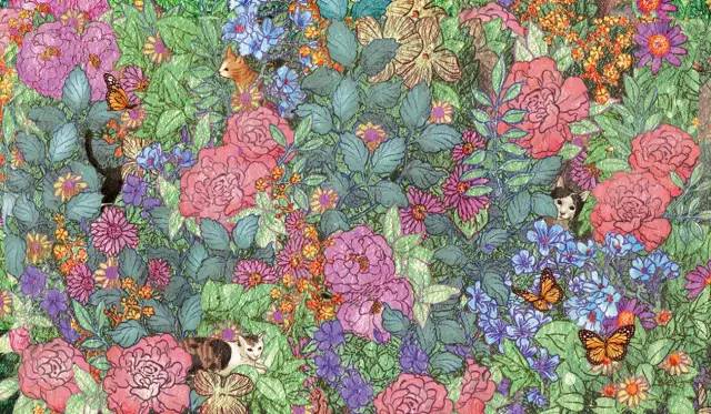 康康是個(gè)肥貓的個(gè)人主頁（封面預(yù)覽） - 主頁封面設(shè)置 - 站酷設(shè)計(jì)師康康是個(gè)肥貓?jiān)瓌?chuàng)素材 - 站酷ZCOOL