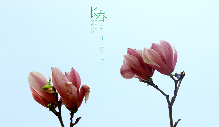 马鹏的个人主页（封面预览） - 主页封面设置 - 站酷设计师马鹏原创素材 - 站酷ZCOOL