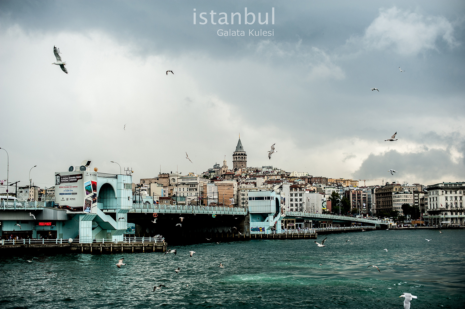 braveheart_z的個人主頁（封面預(yù)覽） - 主頁封面設(shè)置 - 站酷設(shè)計師braveheart_z原創(chuàng)素材 - 站酷ZCOOL