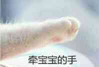 仓鼠小小只的个人主页（封面预览） - 主页封面设置 - 站酷设计师仓鼠小小只原创素材 - 站酷ZCOOL