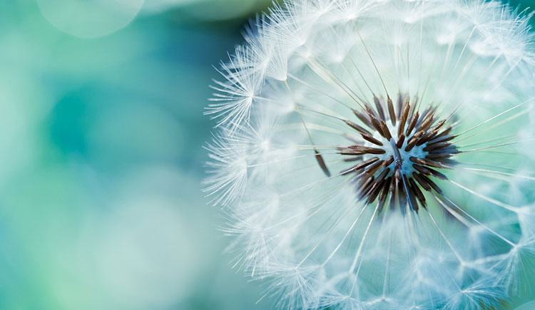 放羊的小猴子的個人主頁（封面預覽） - 主頁封面設置 - 站酷設計師放羊的小猴子原創(chuàng)素材 - 站酷ZCOOL