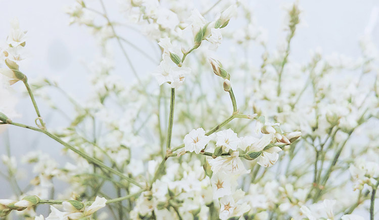 追逐一切的個(gè)人主頁(yè)（封面預(yù)覽） - 主頁(yè)封面設(shè)置 - 站酷設(shè)計(jì)師追逐一切原創(chuàng)素材 - 站酷ZCOOL