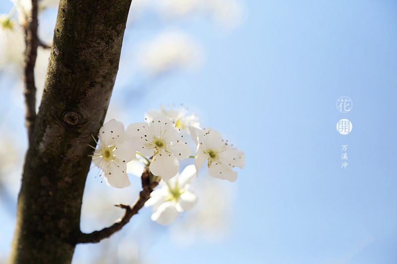secwind的個(gè)人主頁(yè)（封面預(yù)覽） - 主頁(yè)封面設(shè)置 - 站酷設(shè)計(jì)師secwind原創(chuàng)素材 - 站酷ZCOOL