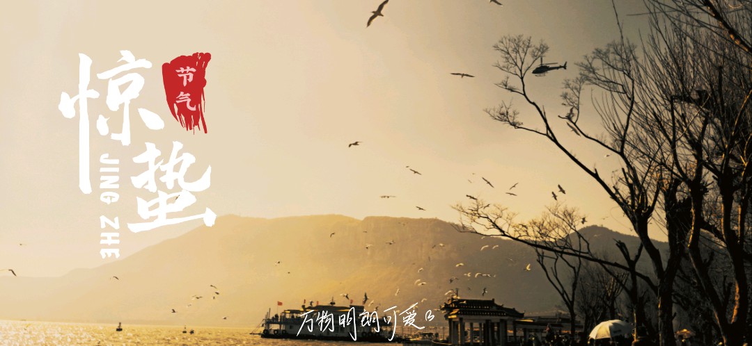 雨柚的個(gè)人主頁（封面預(yù)覽） - 主頁封面設(shè)置 - 站酷設(shè)計(jì)師雨柚原創(chuàng)素材 - 站酷ZCOOL