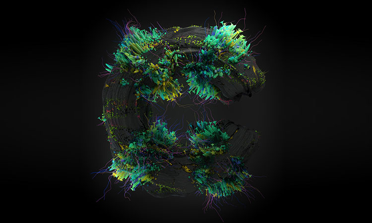 Kiwi_VISION的个人主页（封面预览） - 主页封面设置 - 站酷设计师Kiwi_VISION原创素材 - 站酷ZCOOL