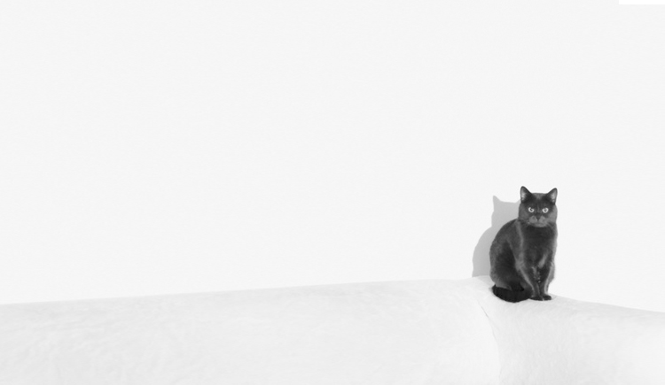 宋雨薇的個(gè)人主頁（封面預(yù)覽） - 主頁封面設(shè)置 - 站酷設(shè)計(jì)師宋雨薇原創(chuàng)素材 - 站酷ZCOOL