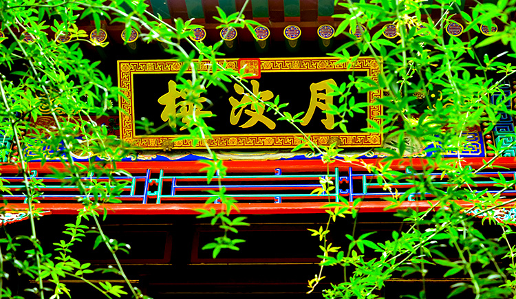 蘇菲的世界的個(gè)人主頁（封面預(yù)覽） - 主頁封面設(shè)置 - 站酷設(shè)計(jì)師蘇菲的世界原創(chuàng)素材 - 站酷ZCOOL