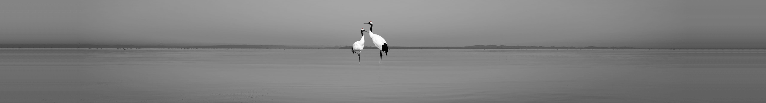 MengGo的個人主頁（封面預(yù)覽） - 主頁封面設(shè)置 - 站酷設(shè)計師MengGo原創(chuàng)素材 - 站酷ZCOOL