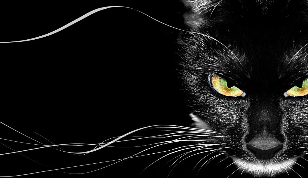 youngjax的個人主頁（封面預(yù)覽） - 主頁封面設(shè)置 - 站酷設(shè)計師youngjax原創(chuàng)素材 - 站酷ZCOOL