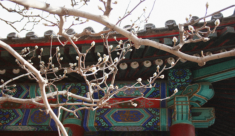 加加欢的个人主页（封面预览） - 主页封面设置 - 站酷设计师加加欢原创素材 - 站酷ZCOOL