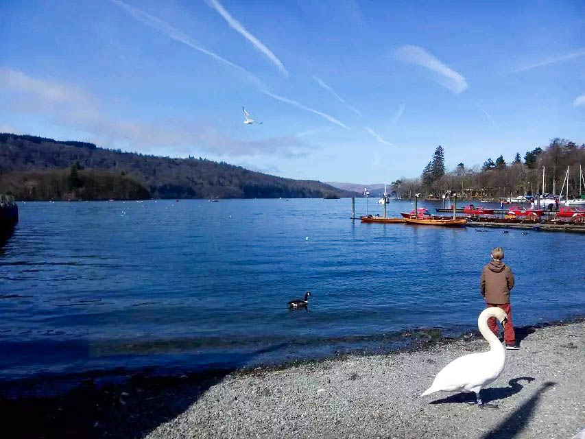 心里有個(gè)小九九的個(gè)人主頁(yè)（封面預(yù)覽） - 主頁(yè)封面設(shè)置 - 站酷設(shè)計(jì)師心里有個(gè)小九九原創(chuàng)素材 - 站酷ZCOOL