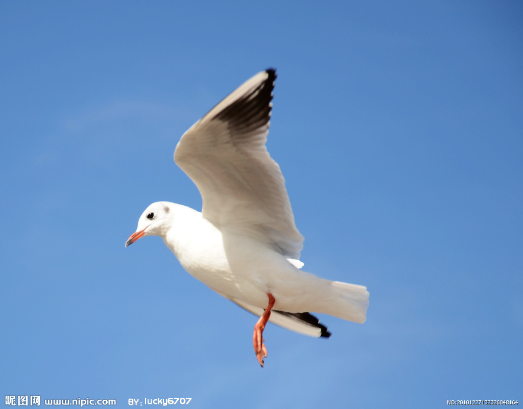 桃桃桑葚的个人主页（封面预览） - 主页封面设置 - 站酷设计师桃桃桑葚原创素材 - 站酷ZCOOL