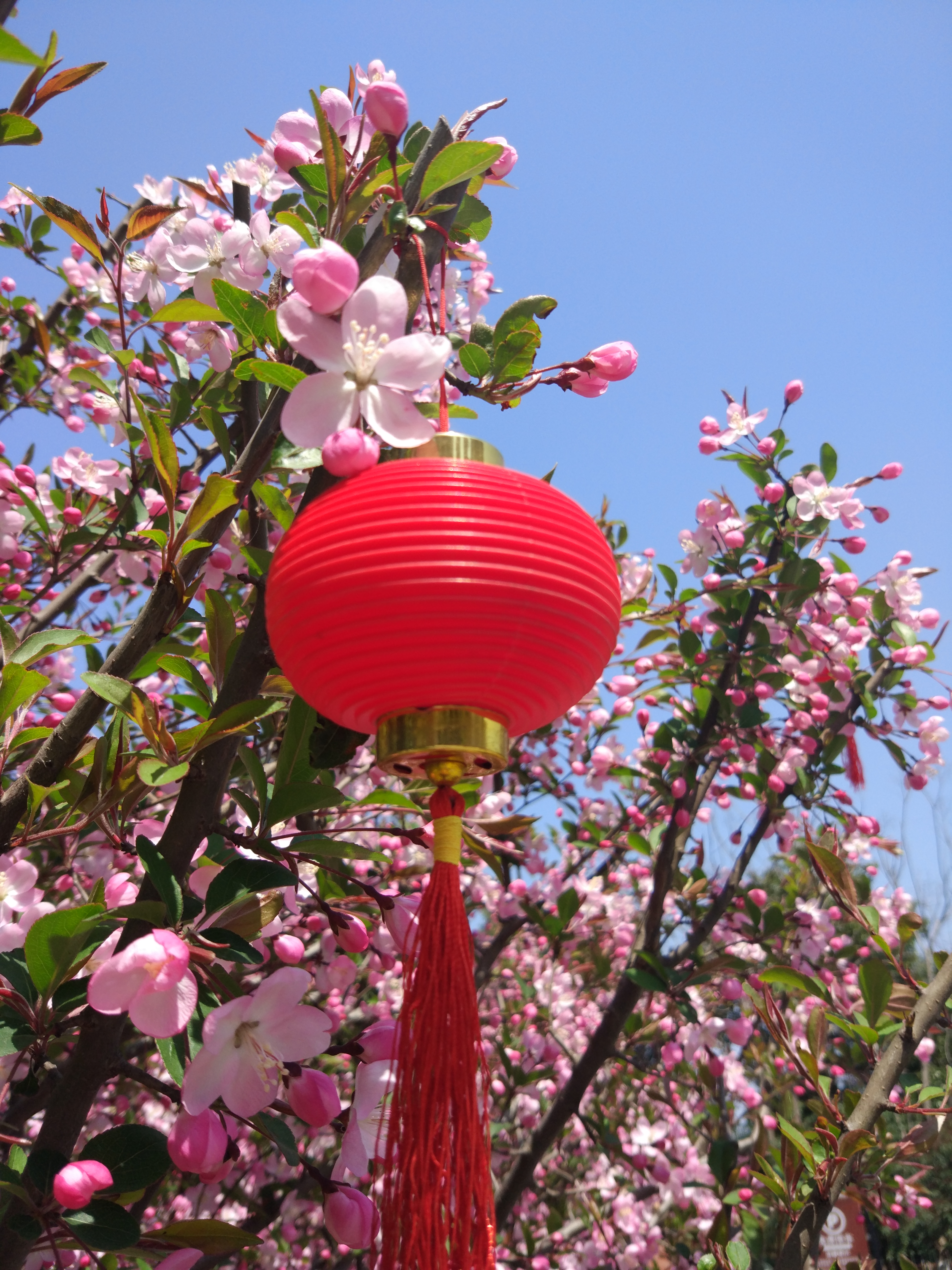 bxax的個人主頁（封面預(yù)覽） - 主頁封面設(shè)置 - 站酷設(shè)計(jì)師bxax原創(chuàng)素材 - 站酷ZCOOL