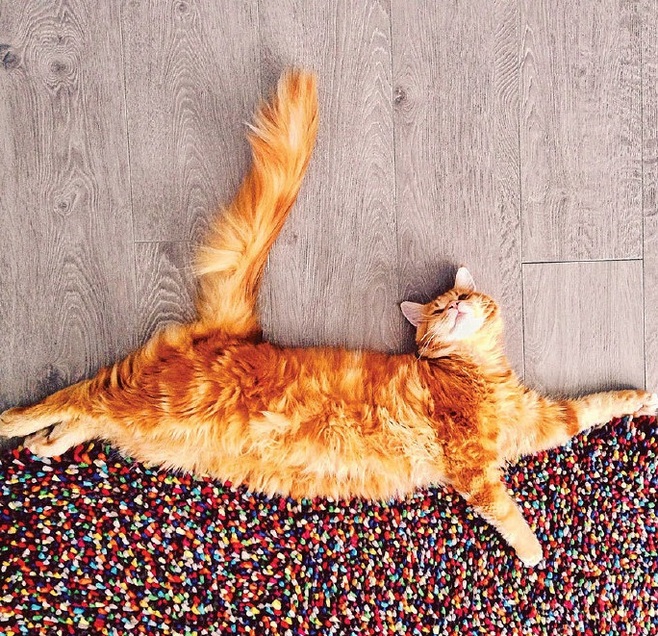 Huadege的个人主页（封面预览） - 主页封面设置 - 站酷设计师Huadege原创素材 - 站酷ZCOOL