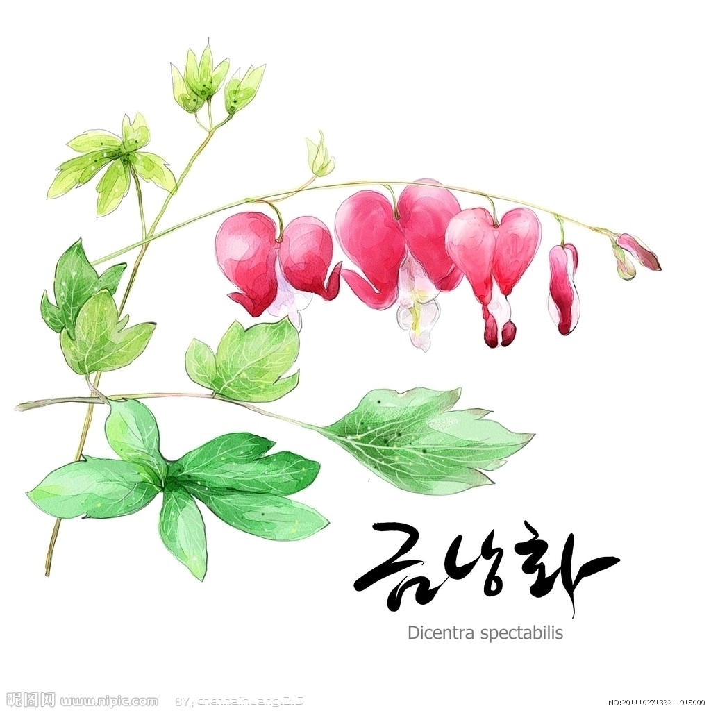 aNYd2的個人主頁（封面預(yù)覽） - 主頁封面設(shè)置 - 站酷設(shè)計師aNYd2原創(chuàng)素材 - 站酷ZCOOL