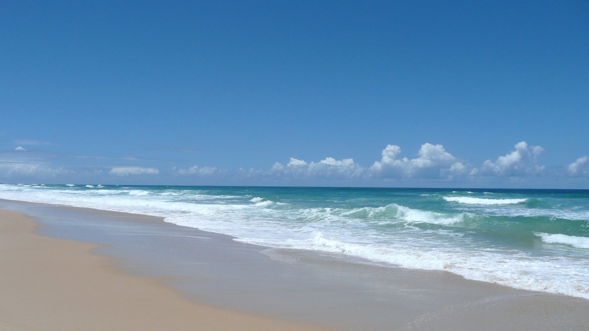 九命貓L的個人主頁（封面預(yù)覽） - 主頁封面設(shè)置 - 站酷設(shè)計師九命貓L原創(chuàng)素材 - 站酷ZCOOL