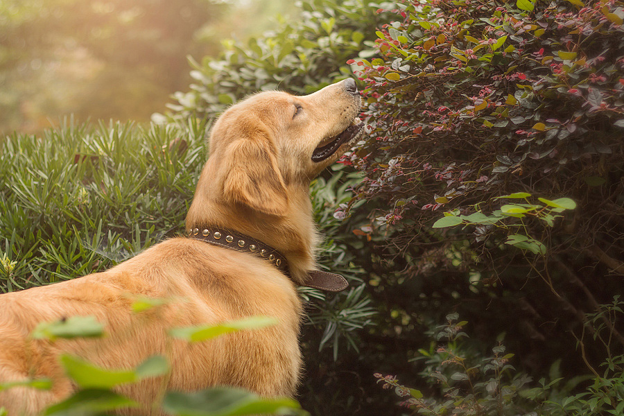 热爱和平的小怪兽的个人主页（封面预览） - 主页封面设置 - 站酷设计师热爱和平的小怪兽原创素材 - 站酷ZCOOL