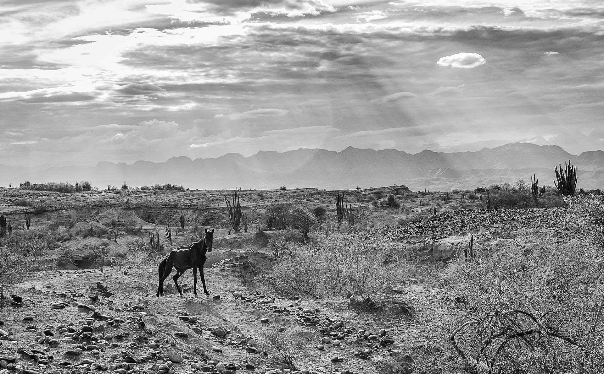 貳小的个人主页（封面预览） - 主页封面设置 - 站酷设计师貳小原创素材 - 站酷ZCOOL