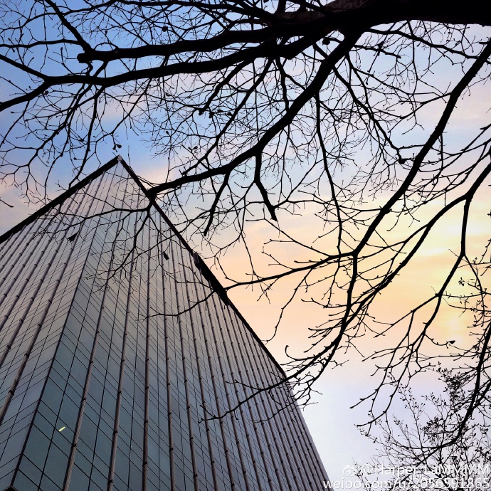 HPlam的個人主頁（封面預(yù)覽） - 主頁封面設(shè)置 - 站酷設(shè)計師HPlam原創(chuàng)素材 - 站酷ZCOOL