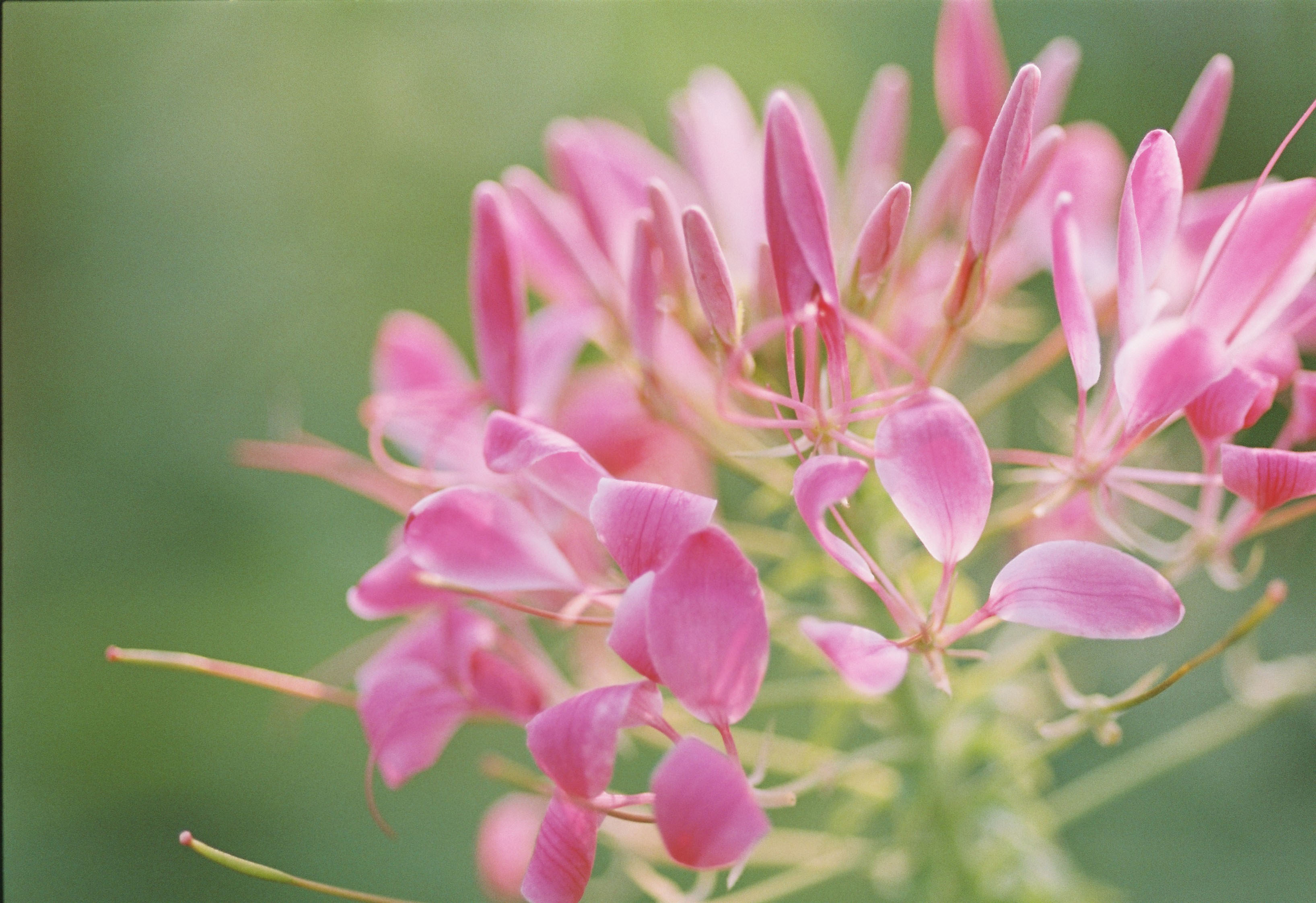 FANG_FUN__的個人主頁（封面預(yù)覽） - 主頁封面設(shè)置 - 站酷設(shè)計師FANG_FUN__原創(chuàng)素材 - 站酷ZCOOL