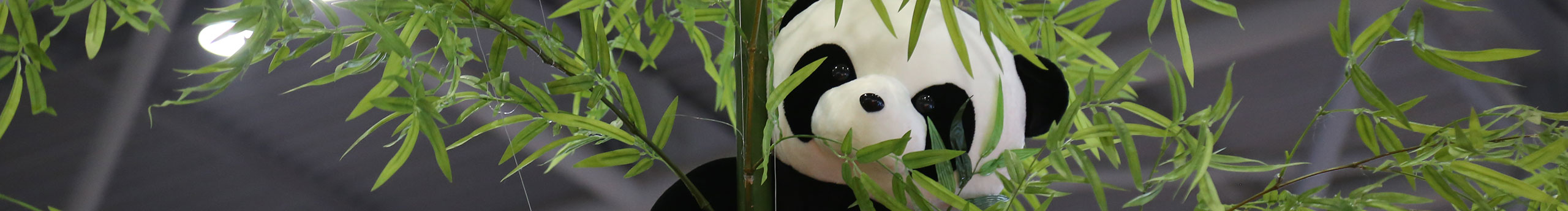 俺是美工的个人主页(封面预览) - 主页封面设置 - 站酷设计师俺是美工原创素材 - 站酷ZCOOL