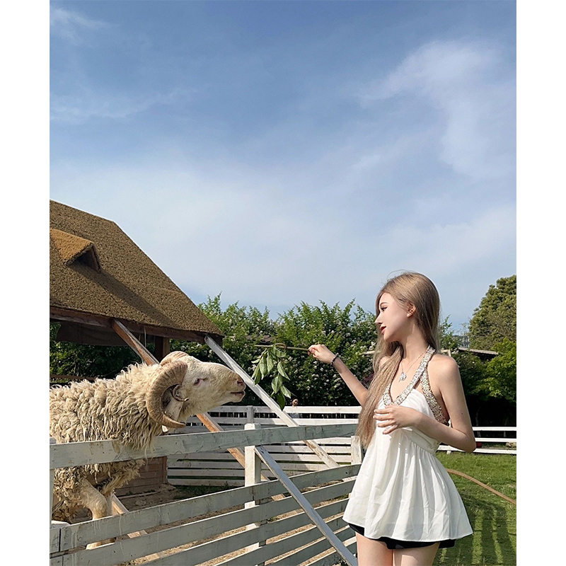 眀天的個人主頁（封面預(yù)覽） - 主頁封面設(shè)置 - 站酷設(shè)計師眀天原創(chuàng)素材 - 站酷ZCOOL