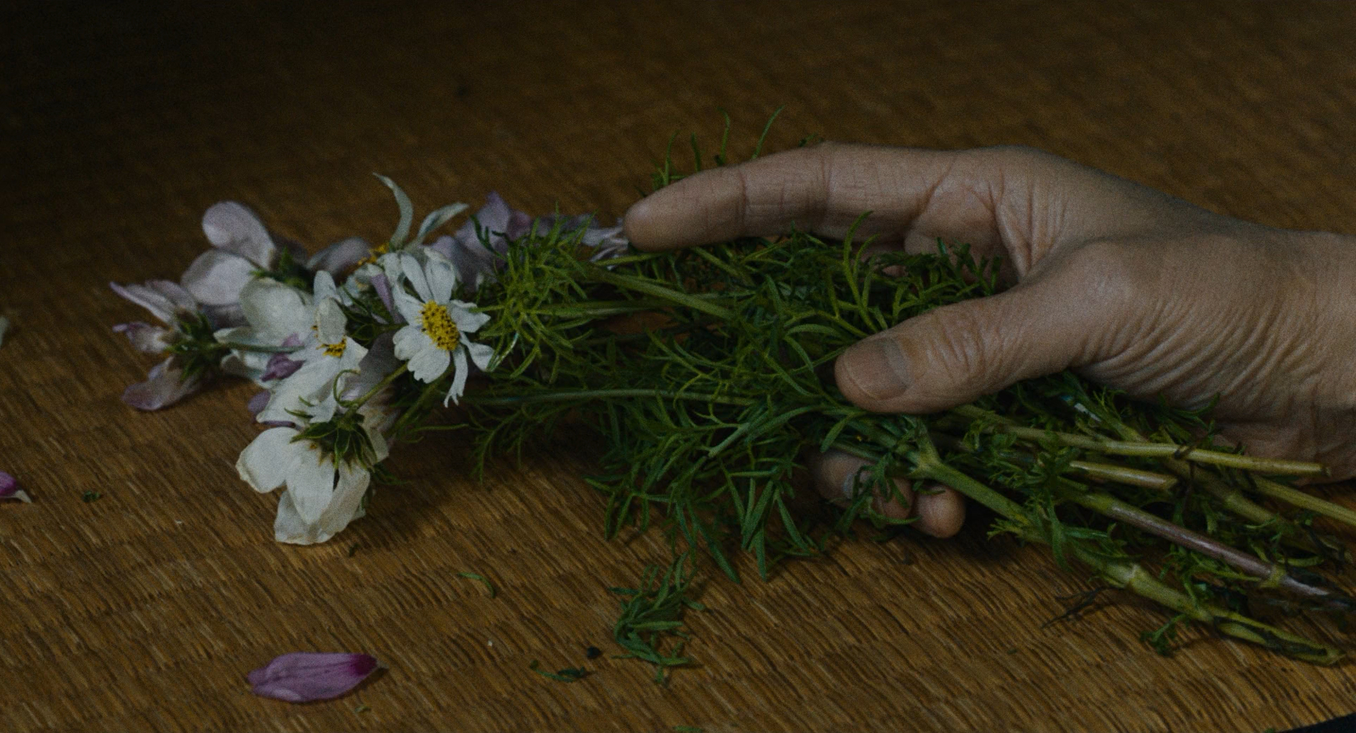 Hitch科克的個人主頁（封面預(yù)覽） - 主頁封面設(shè)置 - 站酷設(shè)計(jì)師Hitch科克原創(chuàng)素材 - 站酷ZCOOL