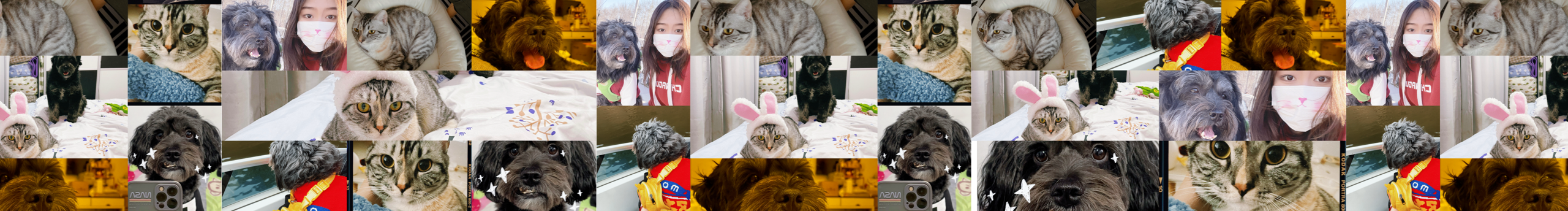 劉溫暖的個(gè)人主頁(yè)（封面預(yù)覽） - 主頁(yè)封面設(shè)置 - 站酷設(shè)計(jì)師劉溫暖原創(chuàng)素材 - 站酷ZCOOL