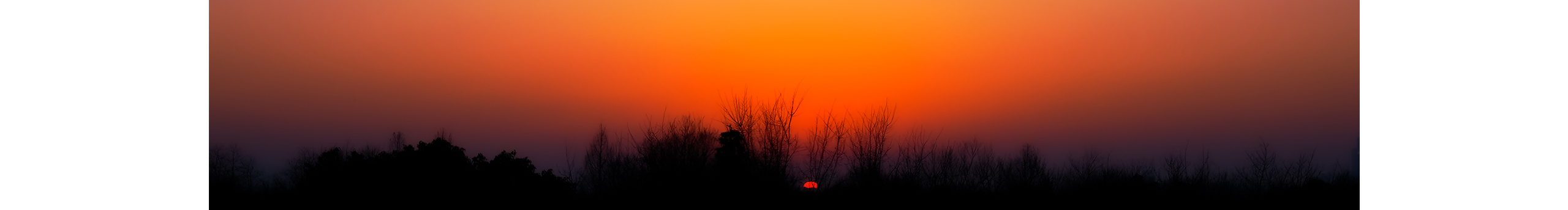 寻luka03的个人主页（封面预览） - 主页封面设置 - 站酷设计师寻luka03原创素材 - 站酷ZCOOL