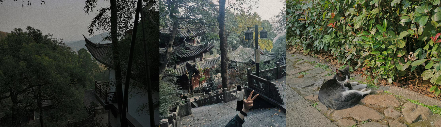 就叫敖巍算了的个人主页（封面预览） - 主页封面设置 - 站酷设计师就叫敖巍算了原创素材 - 站酷ZCOOL