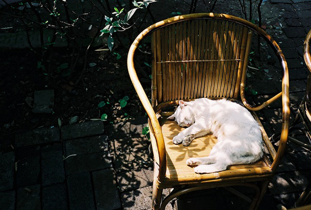 方三疯的个人主页（封面预览） - 主页封面设置 - 站酷设计师方三疯原创素材 - 站酷ZCOOL