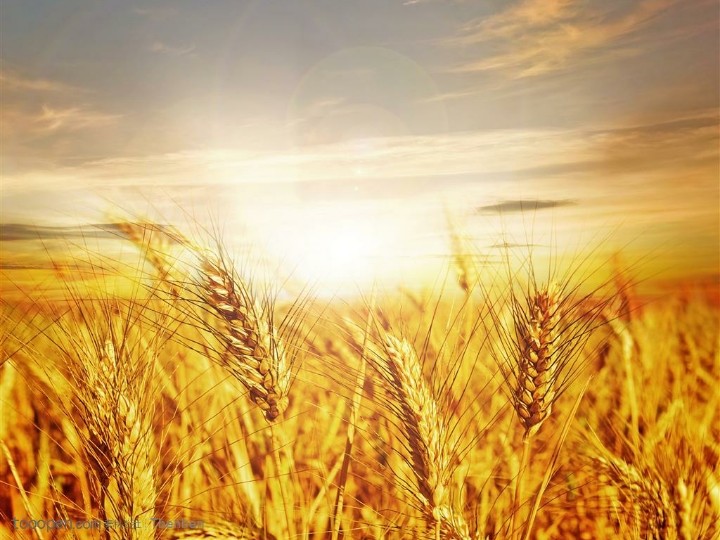 紀lm的个人主页（封面预览） - 主页封面设置 - 站酷设计师紀lm原创素材 - 站酷ZCOOL