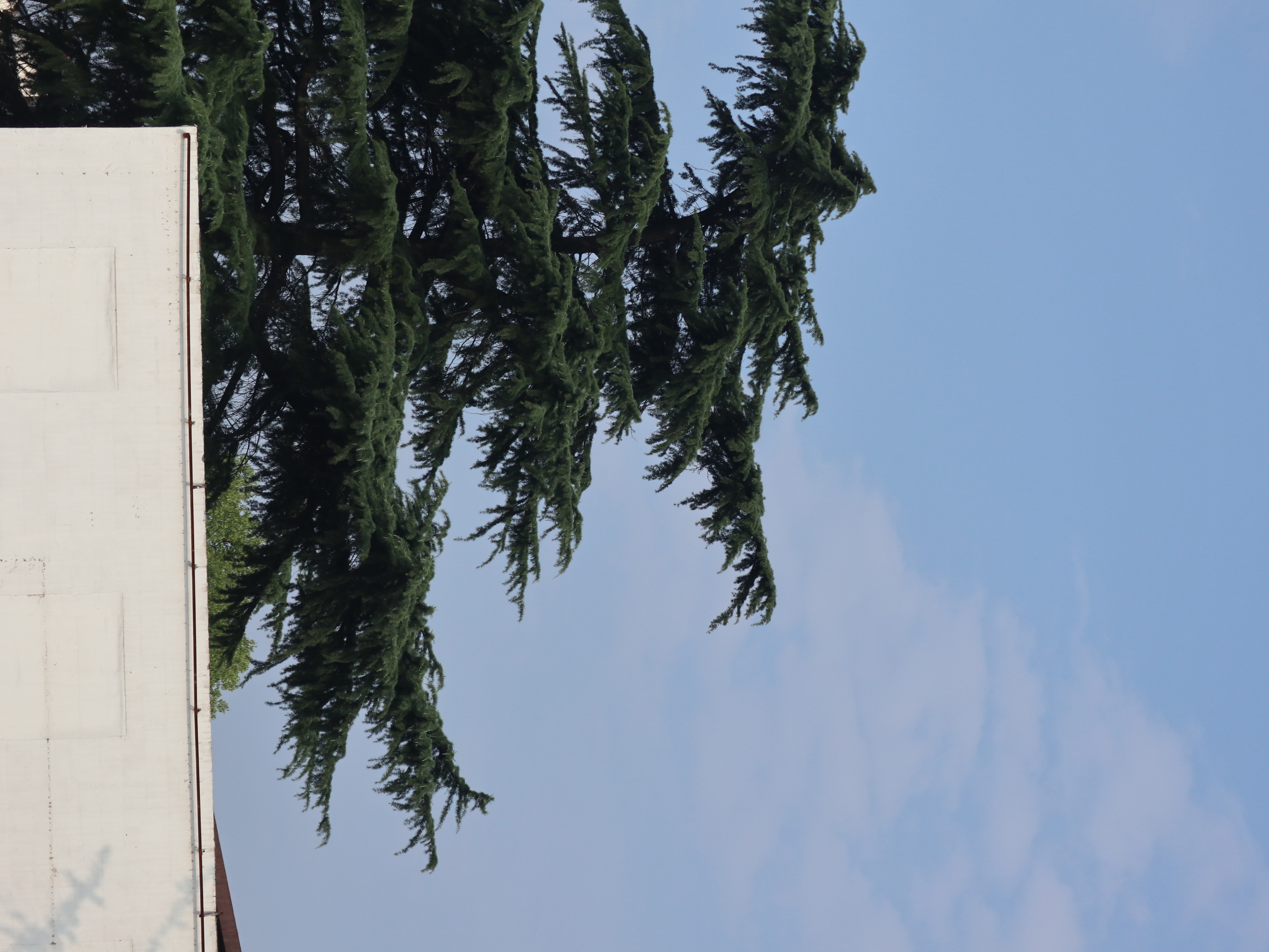 阿野ye的個人主頁（封面預覽） - 主頁封面設置 - 站酷設計師阿野ye原創(chuàng)素材 - 站酷ZCOOL