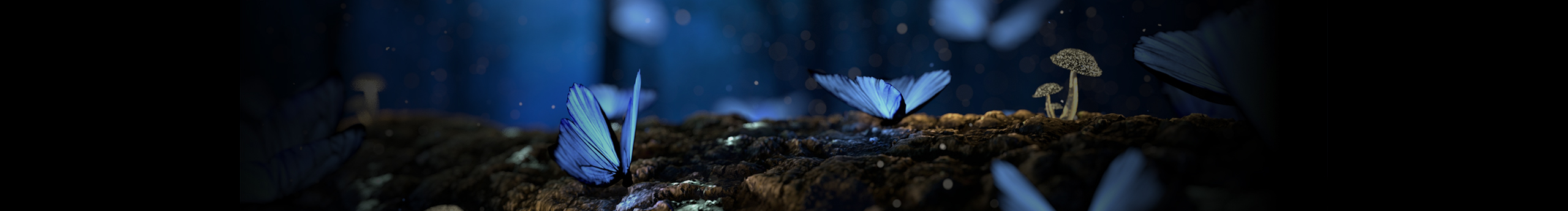 紙飛的個人主頁（封面預覽） - 主頁封面設置 - 站酷設計師紙飛原創(chuàng)素材 - 站酷ZCOOL