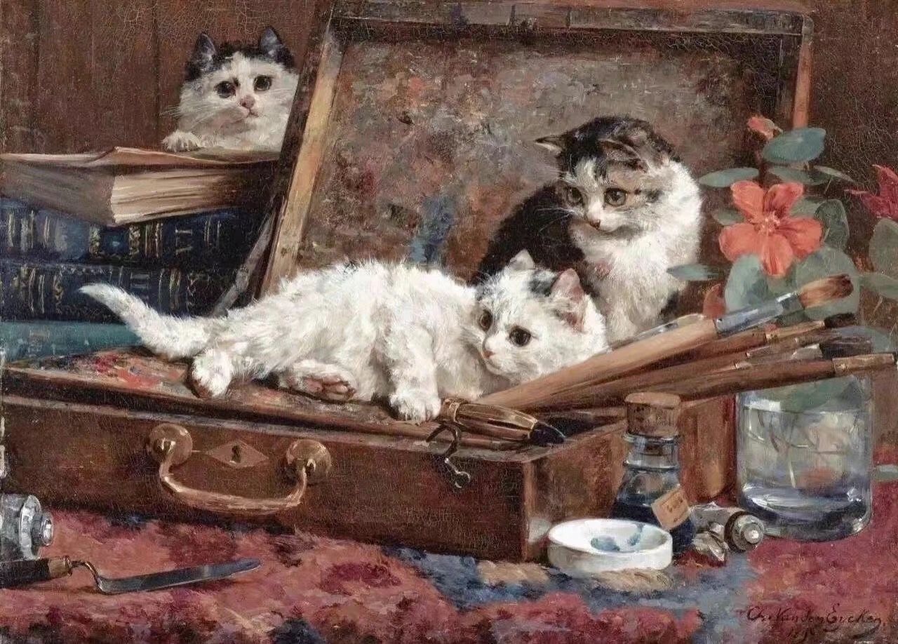 风继续吹1226的个人主页（封面预览） - 主页封面设置 - 站酷设计师风继续吹1226原创素材 - 站酷ZCOOL