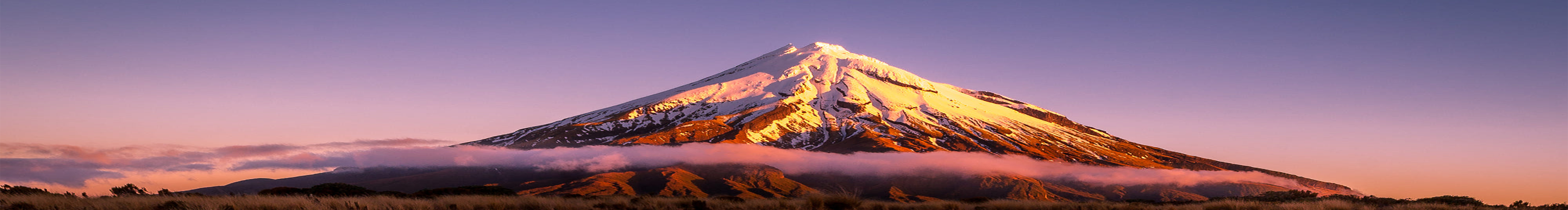 SHAYVENxw的个人主页（封面预览） - 主页封面设置 - 站酷设计师SHAYVENxw原创素材 - 站酷ZCOOL