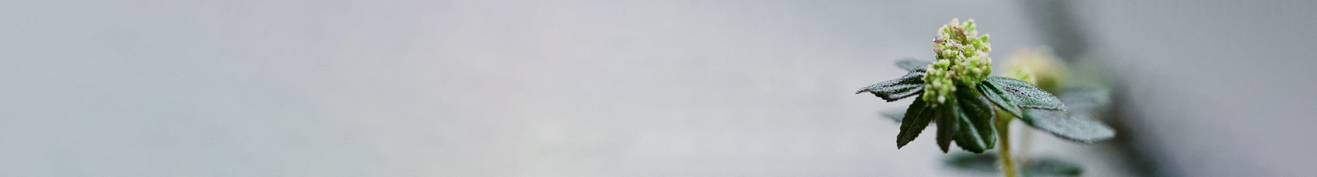 木风_的个人主页（封面预览） - 主页封面设置 - 站酷设计师木风_原创素材 - 站酷ZCOOL