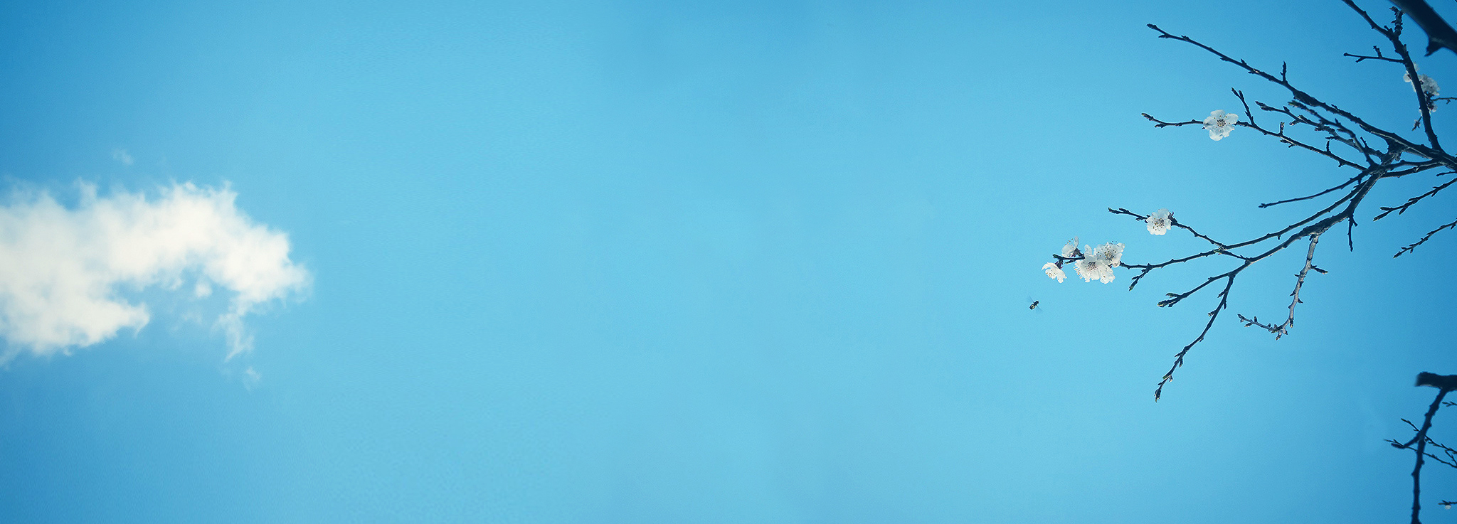 狮子小午摩羯小七的个人主页（封面预览） - 主页封面设置 - 站酷设计师狮子小午摩羯小七原创素材 - 站酷ZCOOL