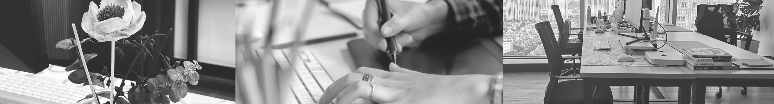 SenseVis桂圆的个人主页（封面预览） - 主页封面设置 - 站酷设计师SenseVis桂圆原创素材 - 站酷ZCOOL