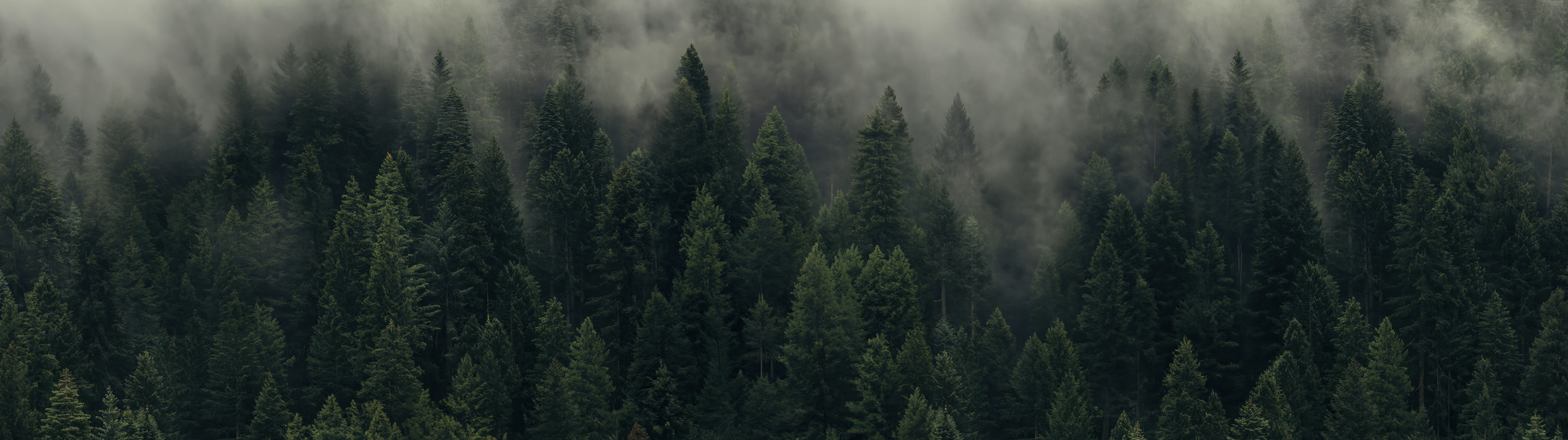 ADC等等我的个人主页（封面预览） - 主页封面设置 - 站酷设计师ADC等等我原创素材 - 站酷ZCOOL