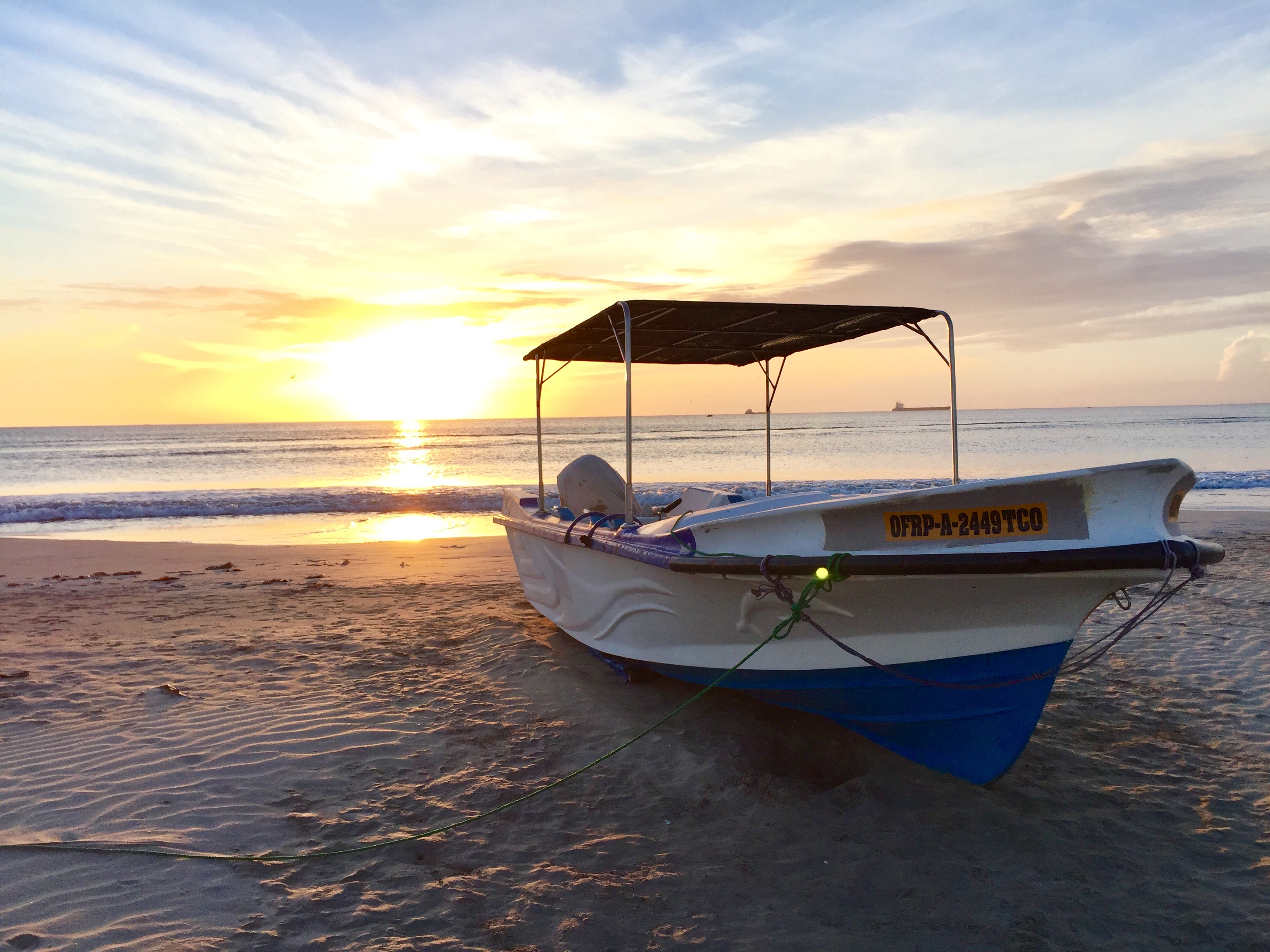 阿达张晶的个人主页（封面预览） - 主页封面设置 - 站酷设计师阿达张晶原创素材 - 站酷ZCOOL
