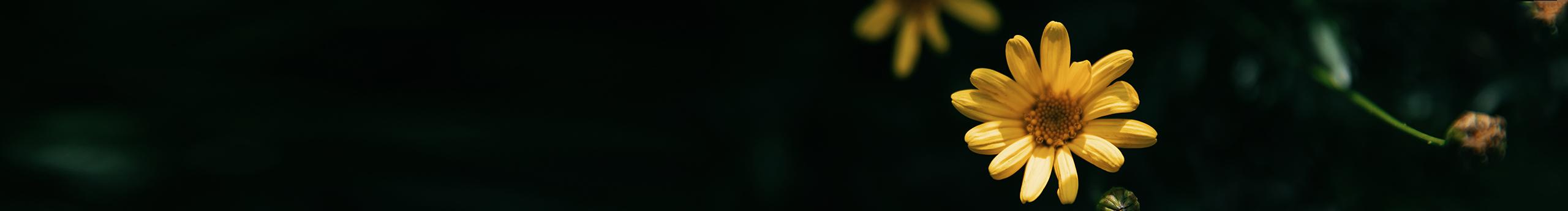 陆零零摄影的个人主页（封面预览） - 主页封面设置 - 站酷设计师陆零零摄影原创素材 - 站酷ZCOOL